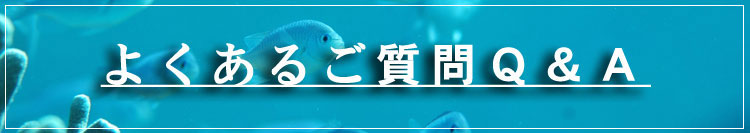 �_�C�r���O�ǂ����鎿��